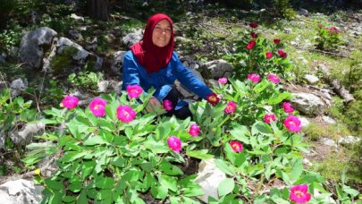 Çiçeği koparana 110 bin TL ceza