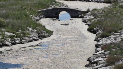 Su kalitesi bozuluyor