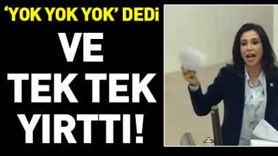 Yedekci bütçe kitapçığını yırttı!