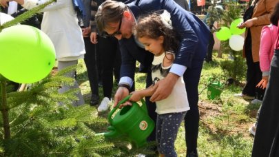 Yeşillendirme çalışması