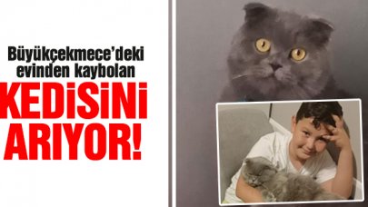 Damla Cengiz Büyükçekmece'de göz yaşlarıyla kedisi Tos Tos'u arıyor