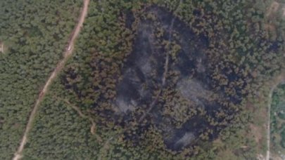 Heybeliada'da yanan alanlar yeşile dönmeye başladı