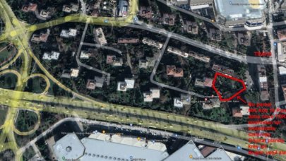 Sarı öküzü vermeyelim