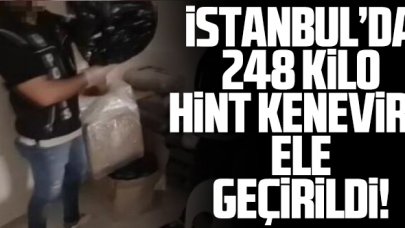 İstanbul'da 248 kilogram hint keneviri ele geçirildi