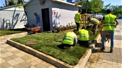 2 bin metrekare çim serildi