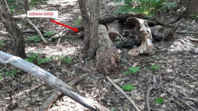 Eren Abluka-7 operasyonunda tespit edilen depo ve sığınak imha edildi