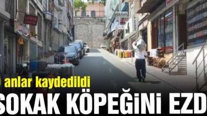 Panelvanla sokak köpeğini ezdi