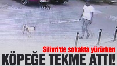 Silivri'de köpeğe tekme attı