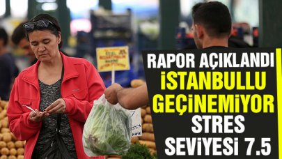 Rapor açıklandı: İstanbullu geçinemiyor!
