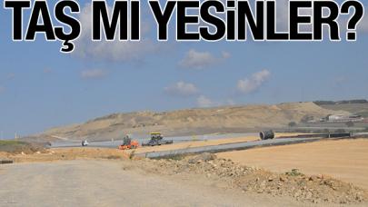 Kuzey Marmara Otoyolu Silivri'deki meraları katletti, hayvanlar aç kaldı! Taş mı yesinler?