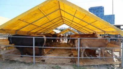 Bahçelievler’de kurban kesim alanlarındaki hazırlık tamamlandı