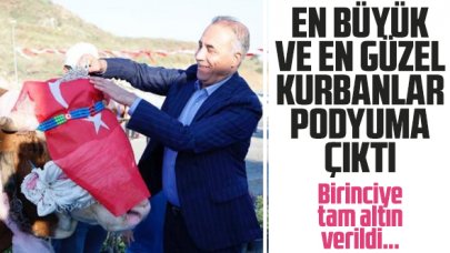 ‘En büyük ve güzel’ kurbanlıklar podyuma çıktı