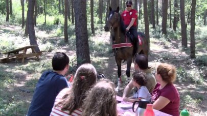 Ormanda atlı denetim