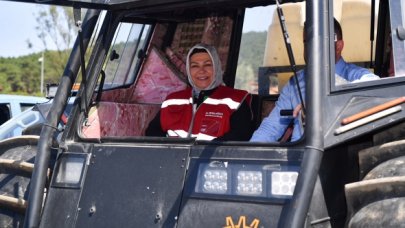 Sivrisineklere savaş açtılar