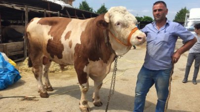 Çelik örgülü eldiven şart