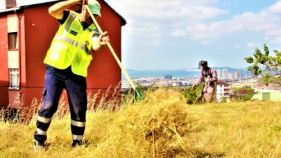 Ot biçme çalışması