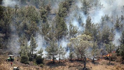 Ormanlık alanlara giriş 31 Ağustos'a kadar yasaklandı