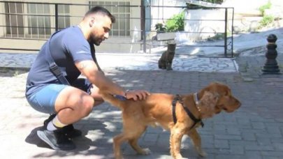 Köpeğine saldıran kediyi uzaklaştırmak isteyen vatandaş yaralandı!