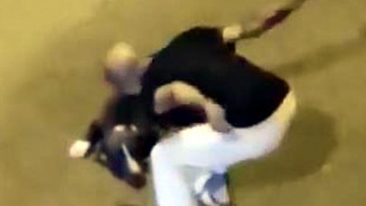 Avcılar'da sokak ortasında köpeğe vurdu