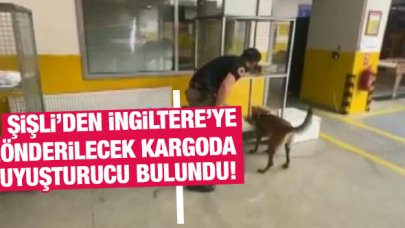Şişli'den İngiltere'ye gönderilecek kargoda uyuşturucu bulundu
