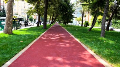 Esenyuırt'ta atıl alan yürüyüş yolu oldu