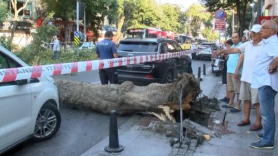 Ağaç devrildi yol trafiğe kapandı
