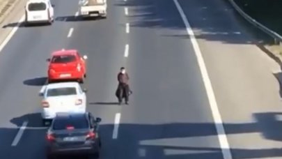 TEM'in ortasına çıktı kazaya neden oldu