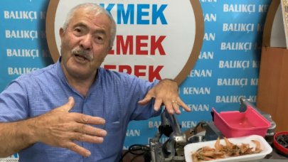 Kuşların yuvası müze oldu