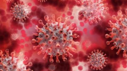 Türkiye'de maymun çiçeği vaka sayısı 11 oldu