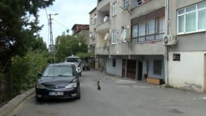Maltepe'de tartıştığı eşini bıçakla ağır yaraladı
