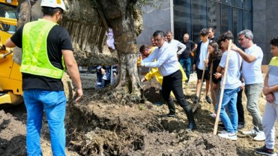 Bozkurt barış ağacı dikti