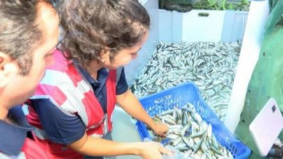 Marmara Denizi'nde avlanan balıkçılar denetlendi