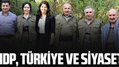 HDP, Türkiye ve siyaset