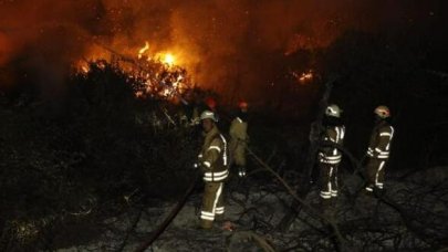 Arnavutköy'de ormanlık alanda yangın