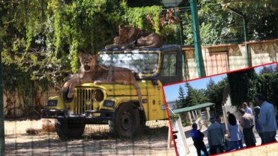 Mahalle arasındaki hayvanat bahçesi mühürlendi