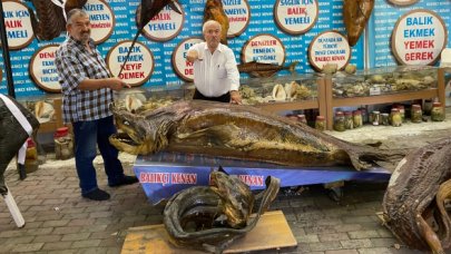 50 yıllık dostlar müzede buluştu