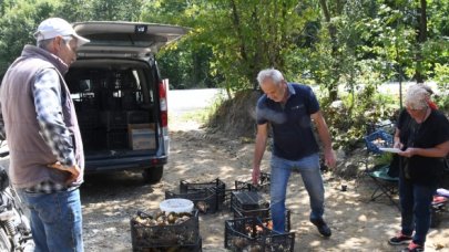 Tekirdağ'da mantar bereketi var