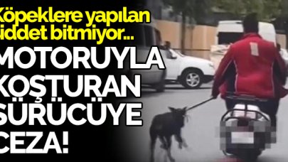 Bağcılar'da motosikletin yanında köpeği koşturan şüpheliye ceza