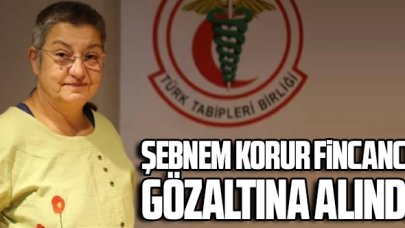 Türk Tabipleri Birliği Başkanı Şebnem Korur Fincancı gözaltına alındı