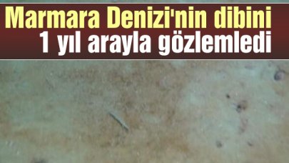 Marmara Denizi'nin dibini 1 yıl arayla gözlemledi