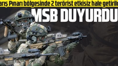 Barış Pınarı bölgesinde 2 terörist etkisiz hale getirildi