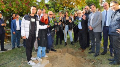 Cerrahpaşa yeşillendi