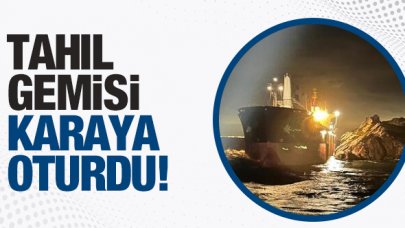 Marmara denizinde tahıl gemisi karaya oturdu