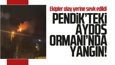 Pendik'teki Aydos Ormanı'nda yangın