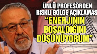 Prof. Dr. Naci Görür, Düzce'deki depremin ardından riskli bölgeyi açıkladı