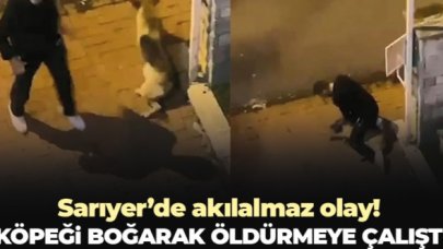 Sarıyer'de köpeği boğmaya çalışan kişi tutuklandı