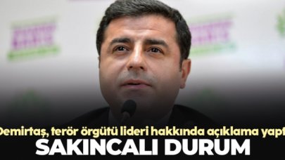 HDP Eş Genel Başkanı Selahattin Demirtaş: Türkiye için sakıncalı durum