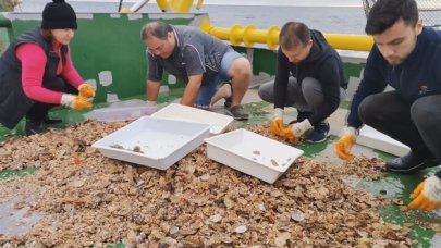 Beylikdüüz'nde bowling heyecanı