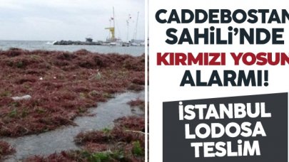 Lodos, Caddebostan Sahili'ni kırmızıya boyadı