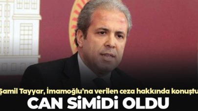 AK Parti MKYK Üyesi Şamil Tayyar: İmamoğlu'na can simidi oldu